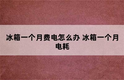 冰箱一个月费电怎么办 冰箱一个月电耗